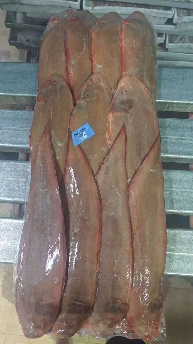 龙利鱼全规格整柜走货量大从优，包售后，可货到付款