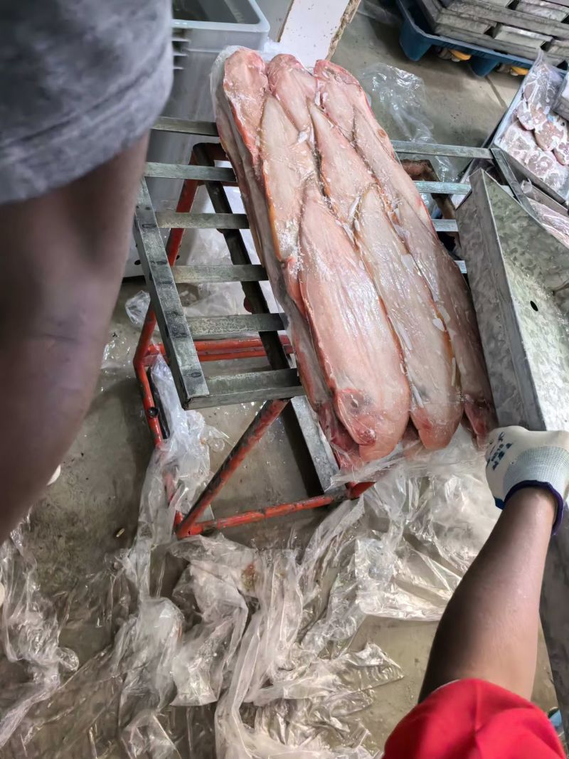 龙利鱼全规格整柜走货量大从优，包售后，可货到付款
