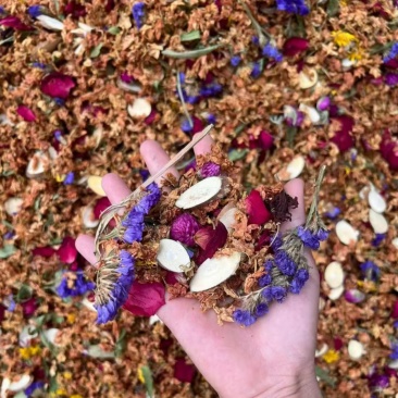花茶多多六味茶红茉莉养肝茶多种品种混合花茶一手货源批发