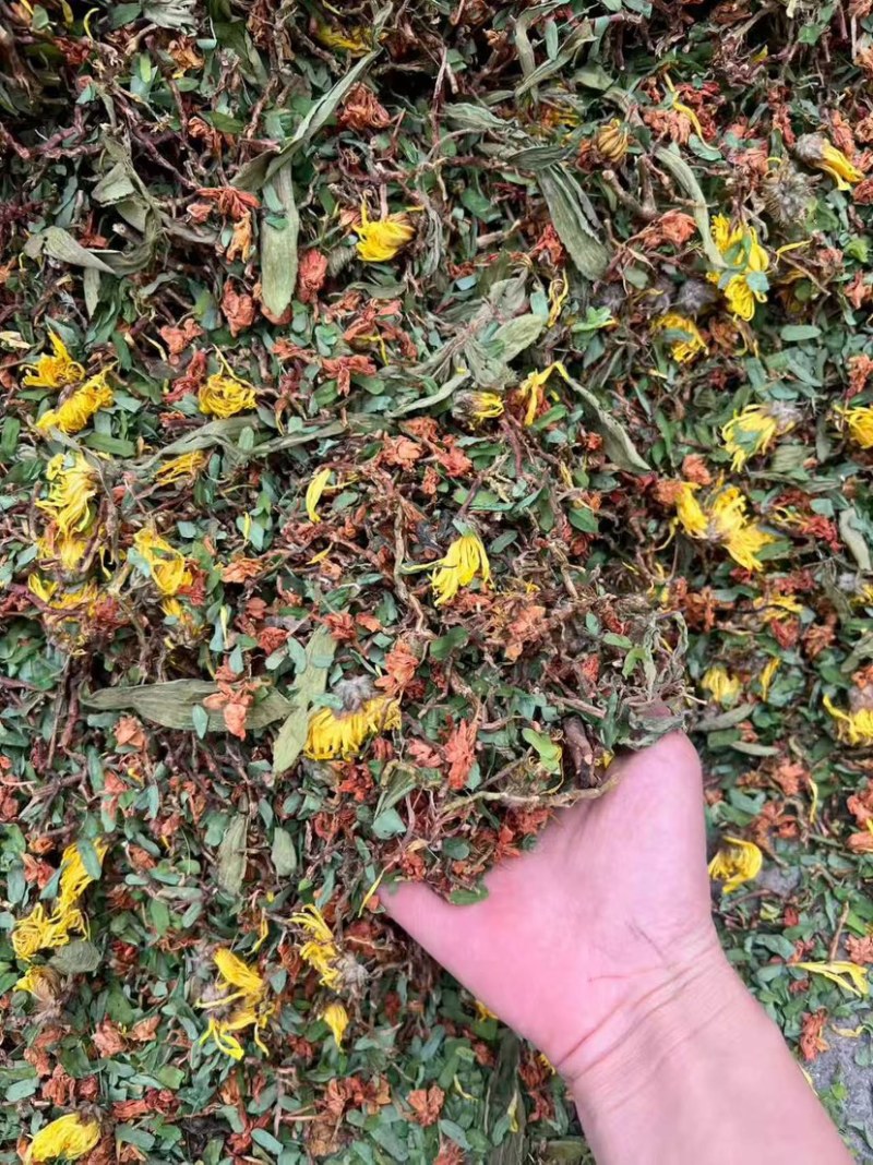 花茶多多六味茶红茉莉养肝茶多种品种混合花茶一手货源批发