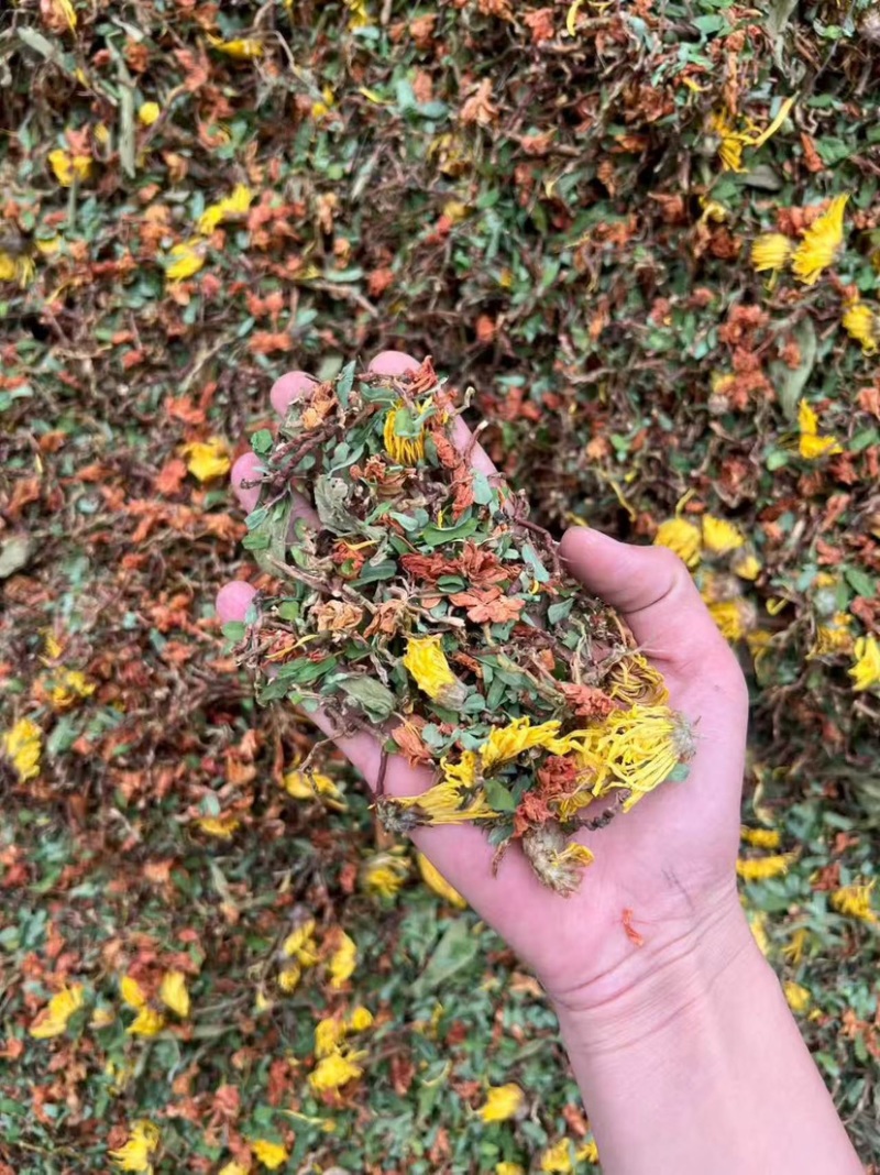 花茶多多六味茶红茉莉养肝茶多种品种混合花茶一手货源批发