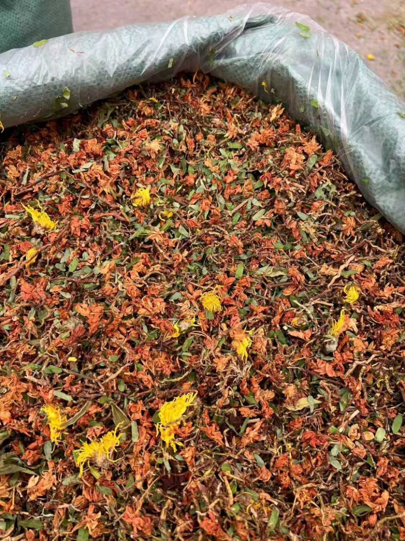 花茶多多六味茶红茉莉养肝茶多种品种混合花茶一手货源批发