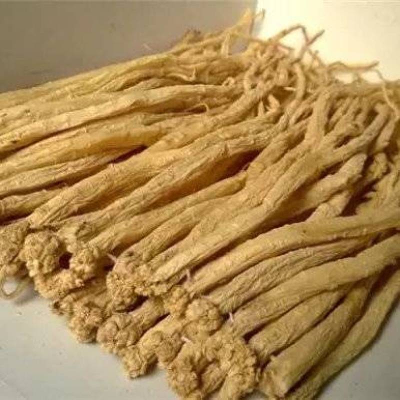 正宗甘肃纯干无硫白条党参农家种植
