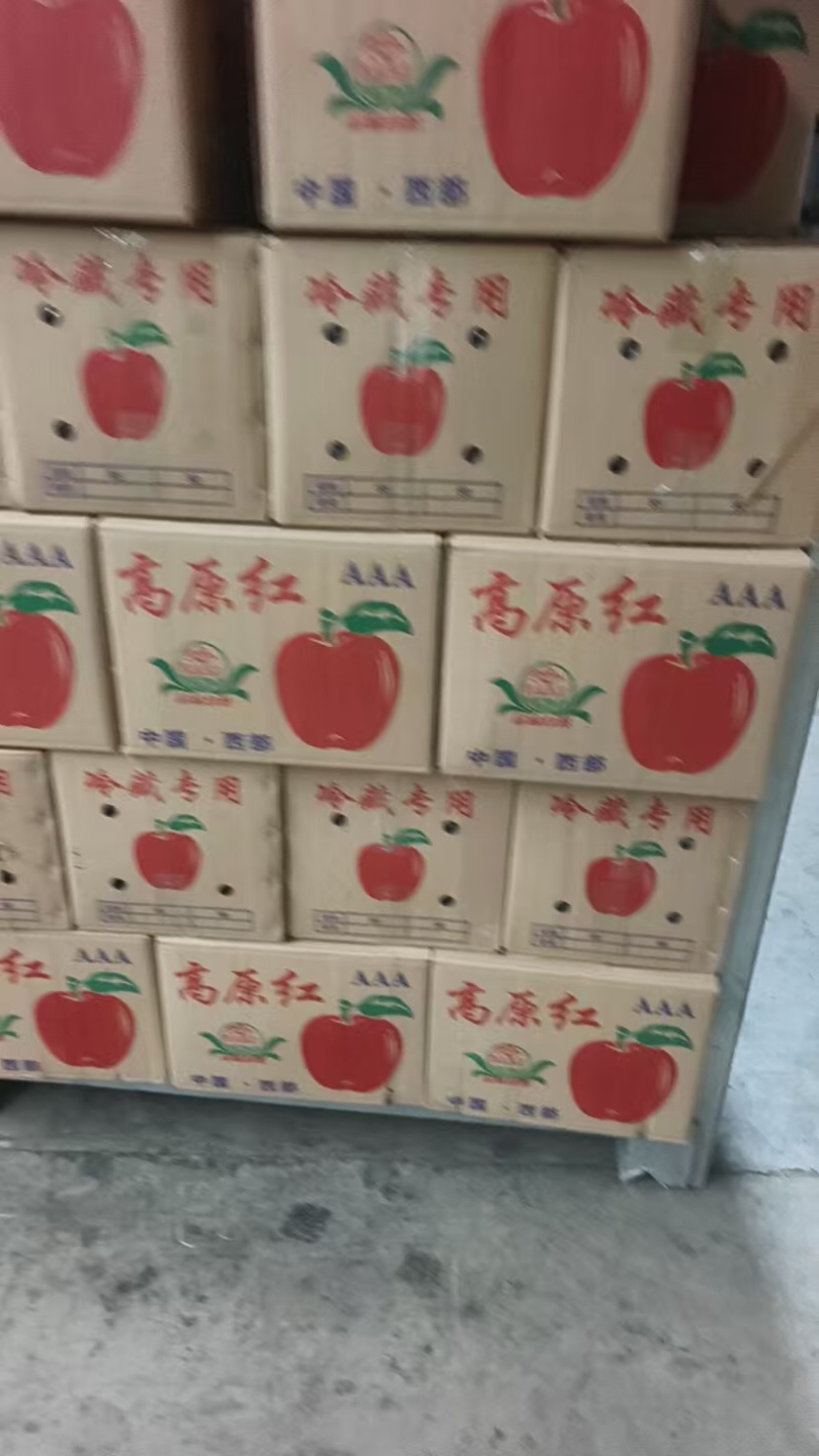 苹果品质保证服务周到产地直发价格美丽欢迎联系沟通