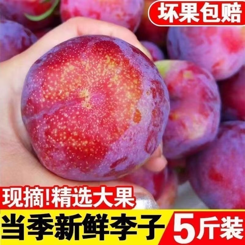 三华李电商一件代发产地直发
