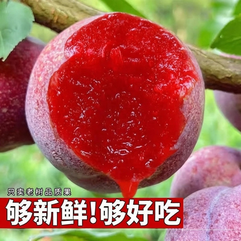 三华李电商一件代发产地直发