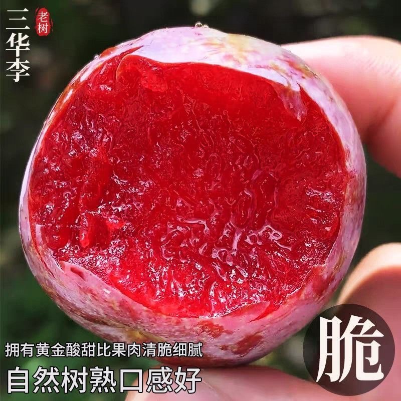 三华李电商一件代发产地直发