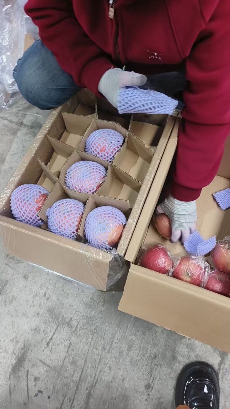 山西苹果品质保证服务周到产地直发价格美丽欢迎联系沟通