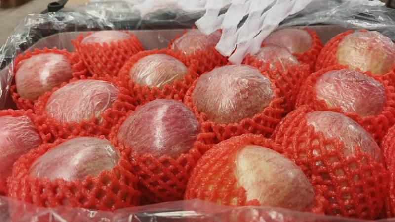 山西万荣片红红富士