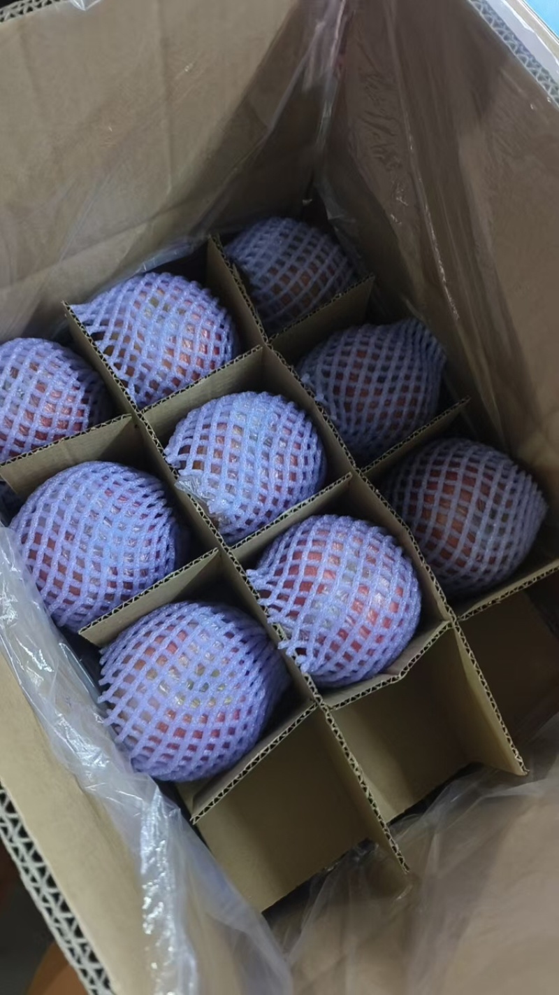 山西万荣片红红富士