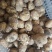 恩施马尔科土豆