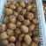 恩施马尔科土豆