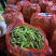 湖北碗豆新鲜上市价格美丽质量好走货快欢迎选购