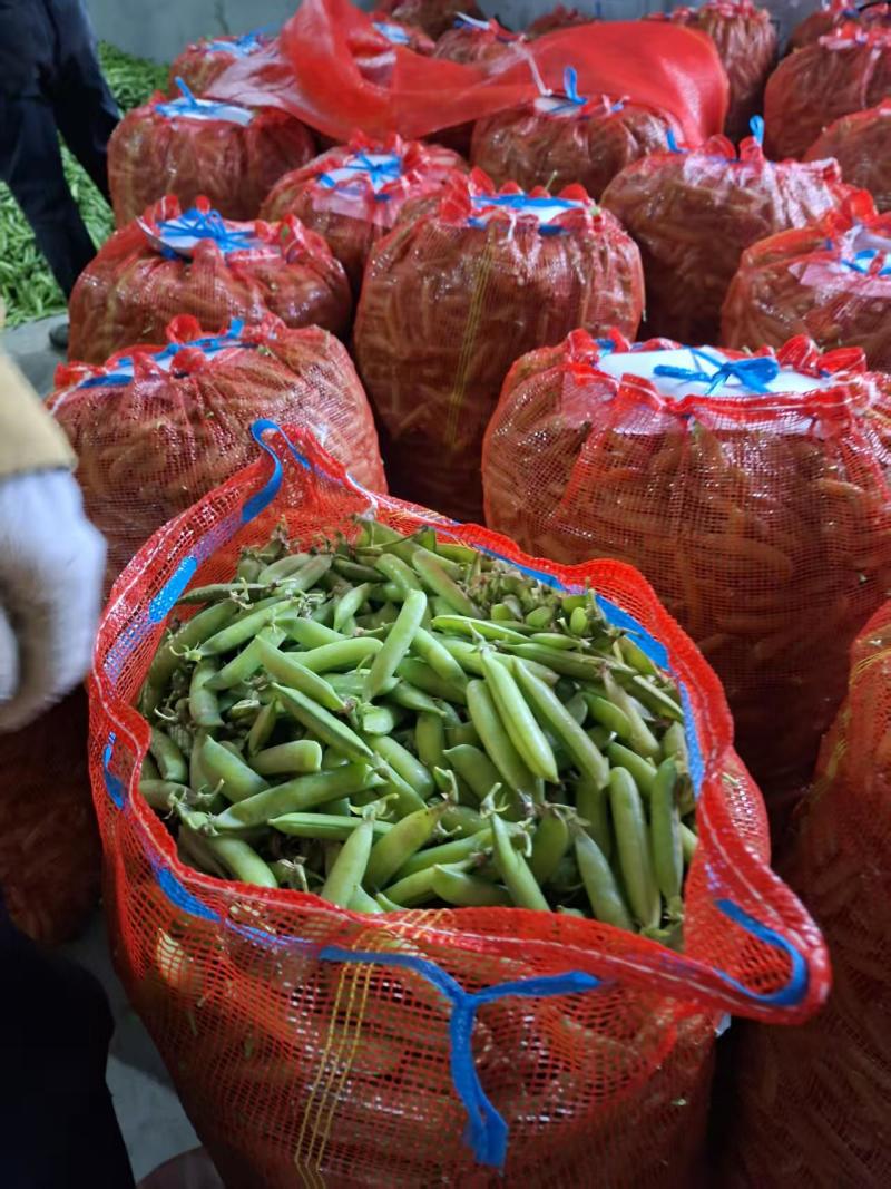 湖北碗豆新鲜上市价格美丽质量好走货快欢迎选购