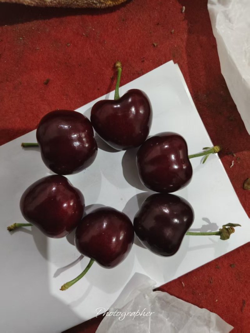 精品万亩樱桃！品种多！耐运输！口感好！欢迎各位老板前来选购