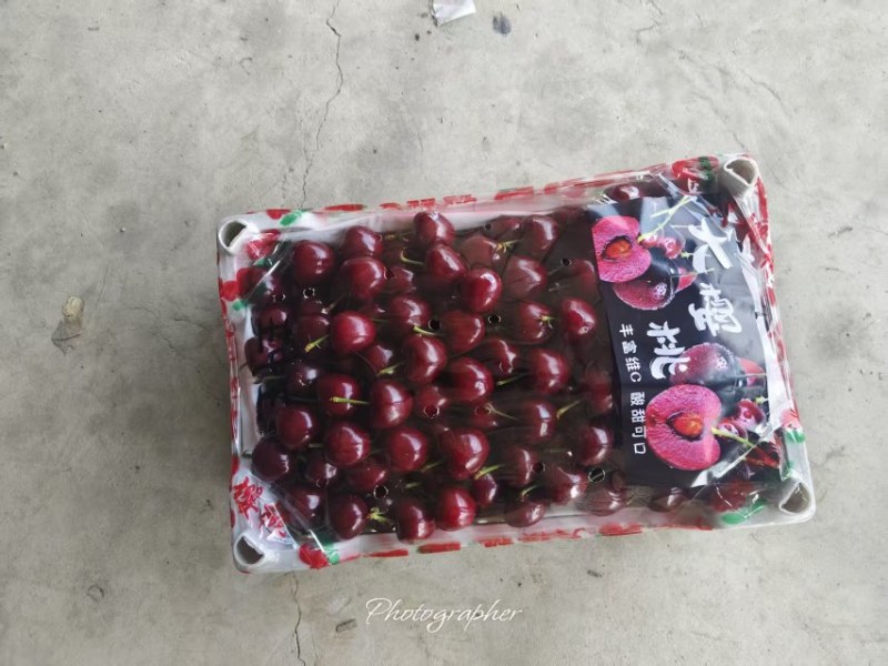 精品万亩车厘子！品种多！口感好！耐运输！欢迎各位老板前来搞钱