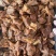 卤味卤牛肉粒全熟可接商超餐饮可视频现货供应