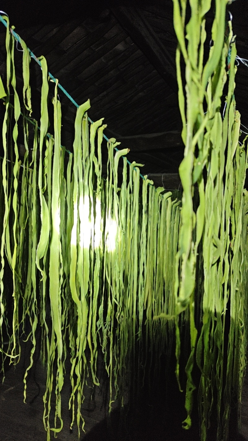 干贡菜，帮老家贫困农户卖，非盈利