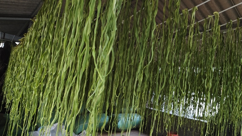干贡菜，帮老家贫困农户卖，非盈利