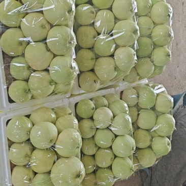 广西精品银辉香瓜
