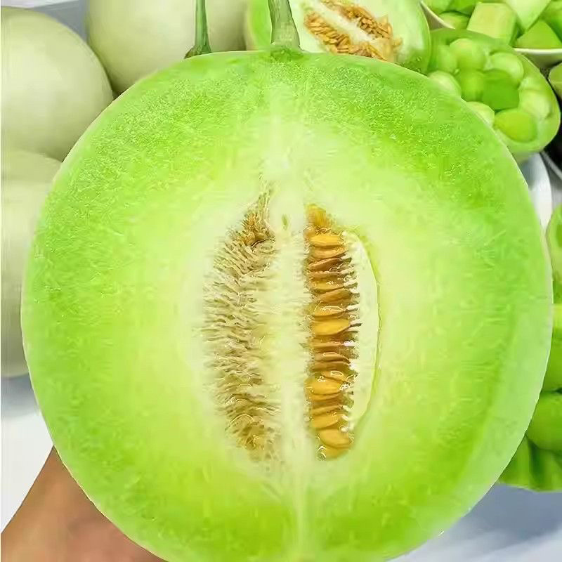 玉菇甜瓜，5斤10左右，各大电商平台直发，包售后，包质量