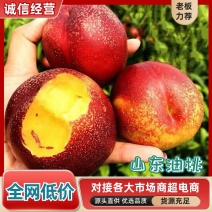 油桃中油4号5号品种改良现摘现发价格实惠批发市场