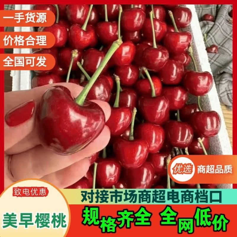 油桃中油4号5号品种改良现摘现发价格实惠批发市场