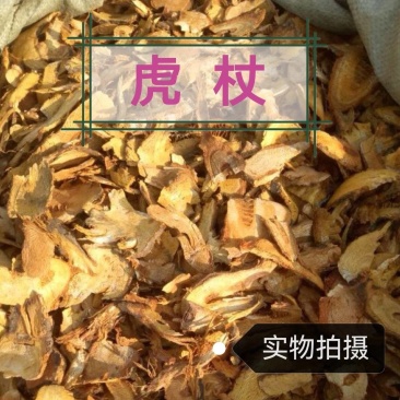 虎杖中药材正宗新货虎杖片新鲜干货无硫干净无杂