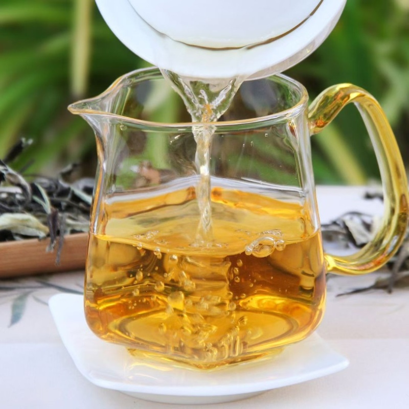 新茶月光美人白茶