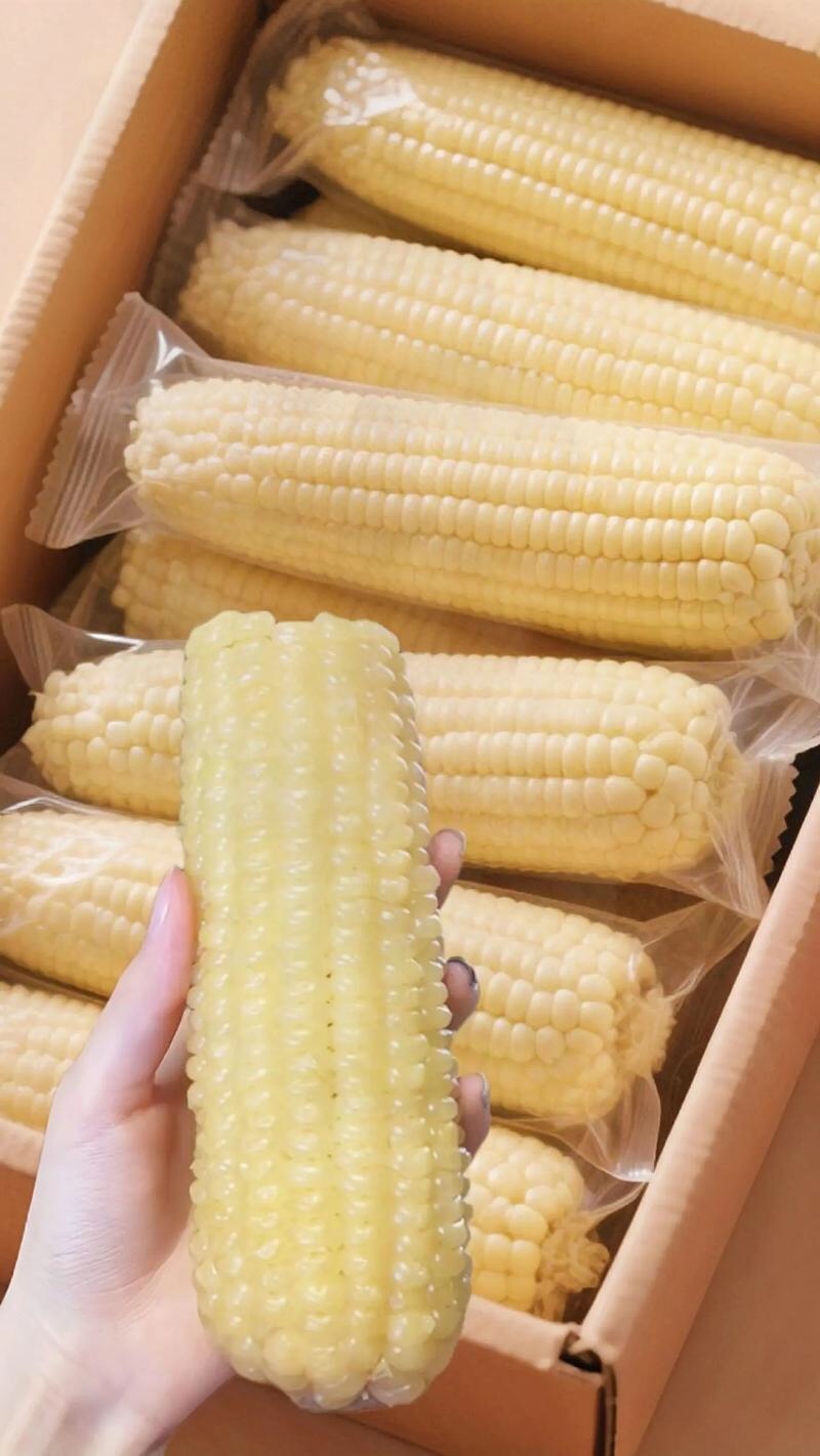 玉米品质保证服务周到产地直发价格美丽欢迎联系沟通