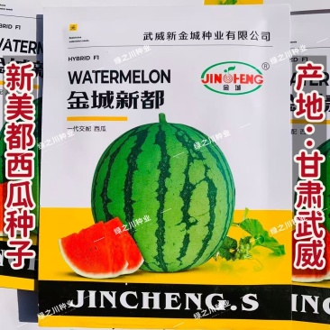 甘肃武威西瓜种籽金城新美都西瓜种子大棚露地大果西瓜种籽甜