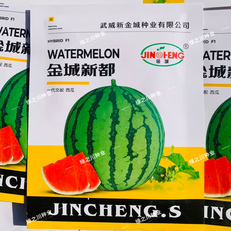 甘肃武威西瓜种籽金城新美都西瓜种子大棚露地大果西瓜种籽甜