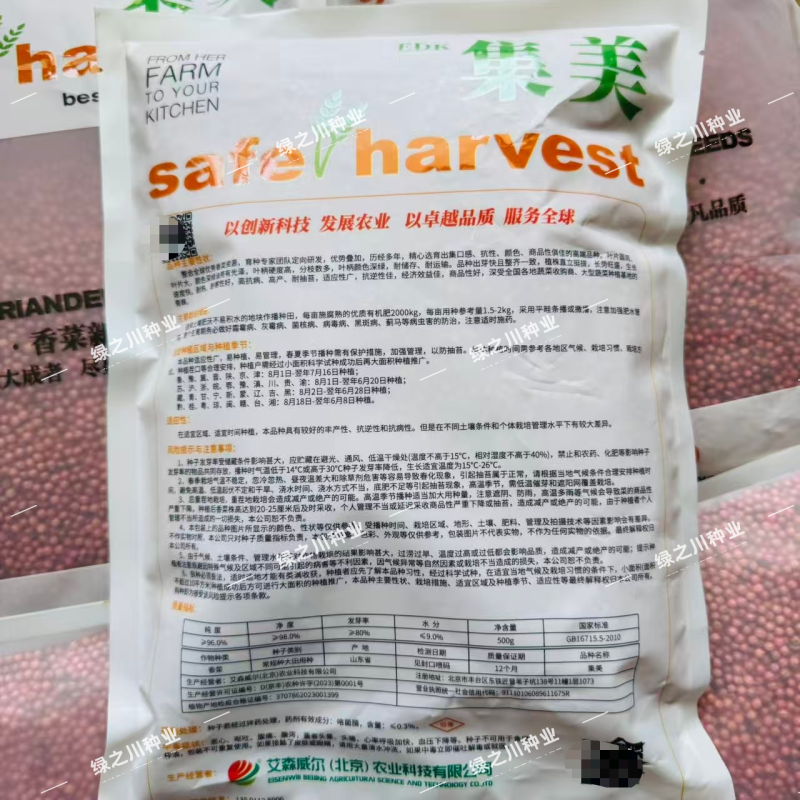 千叶热带鱼抗热香菜种子大叶油亮速生芫荽种籽耐热耐寒高产