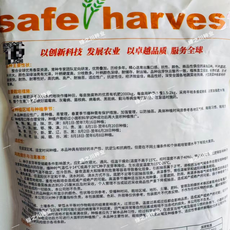千叶热带鱼抗热香菜种子大叶油亮速生芫荽种籽耐热耐寒高产