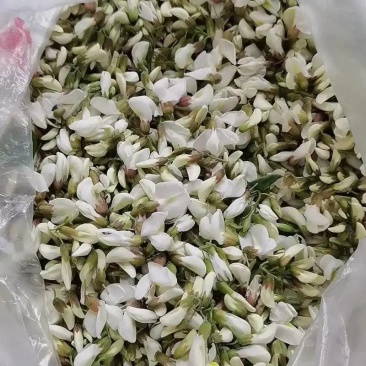 2026年新槐花鲜洋槐花，最后1500斤现货，标价就是卖