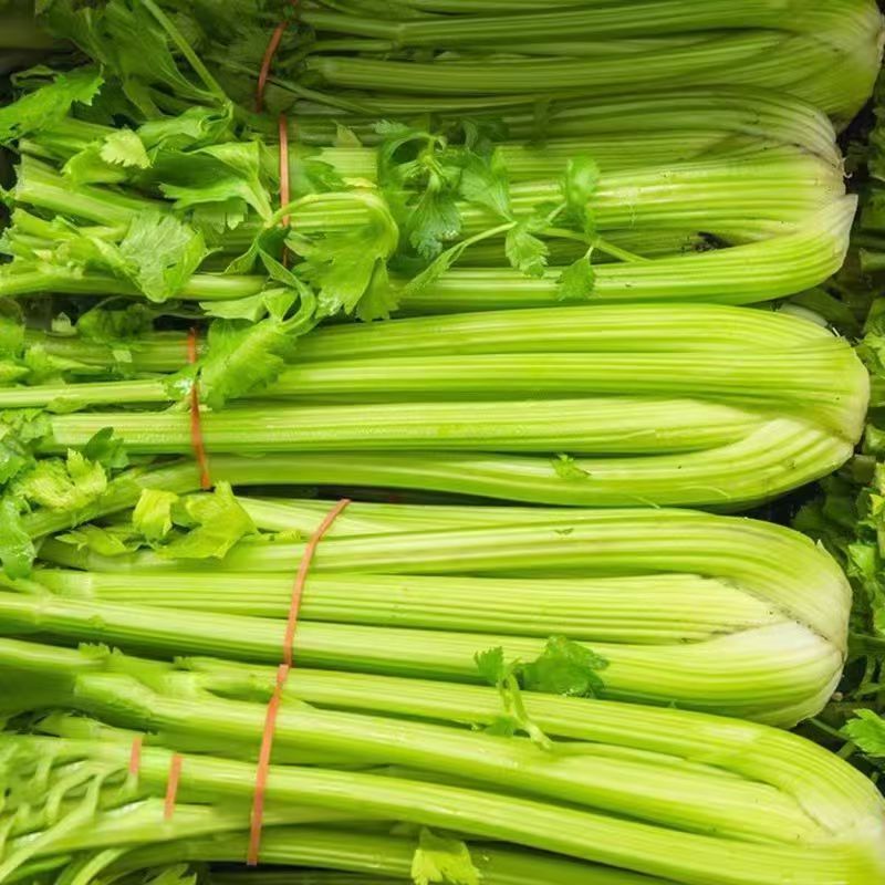 皇后芹菜，产地一手货源，规格价格齐全，欢迎咨询，发全国各