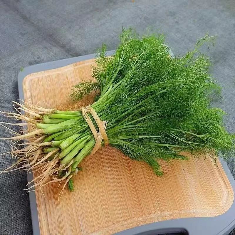 茴香精品通货，量大，欢迎全国各地联系咨询选购吧