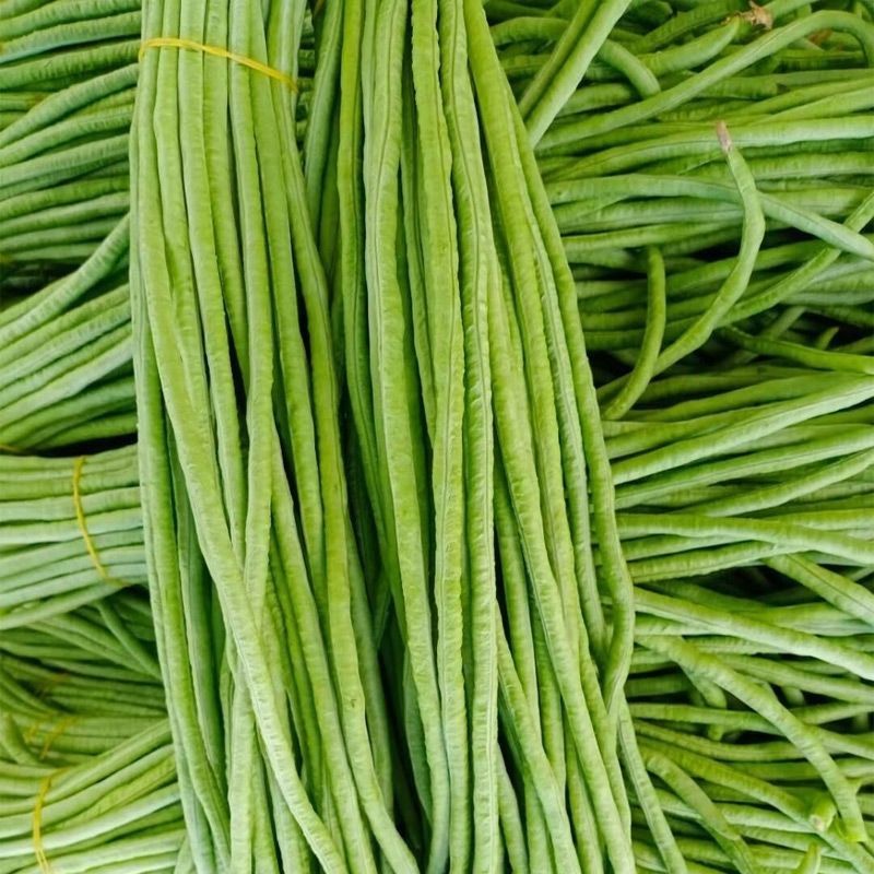 长豆角，邯郸种植基地供货全国各地，规格价格齐全，欢迎联系