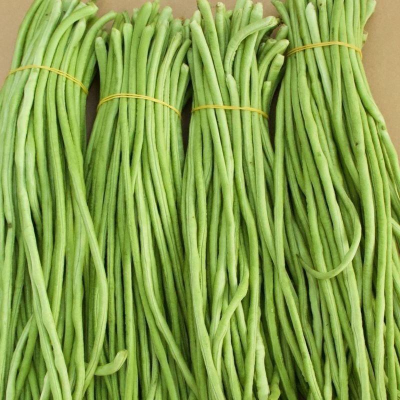 长豆角，邯郸种植基地供货全国各地，规格价格齐全，欢迎联系