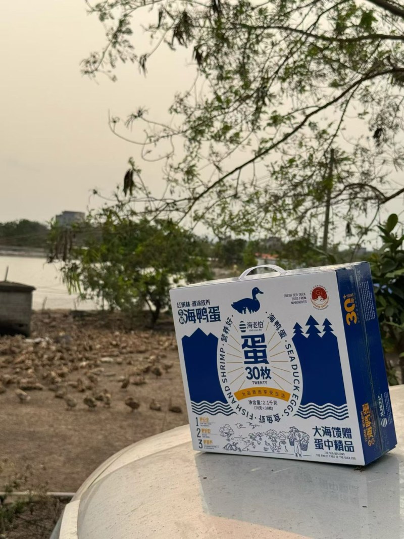 北海地标特产海老伯海鸭蛋新鲜生鸭蛋30枚礼盒