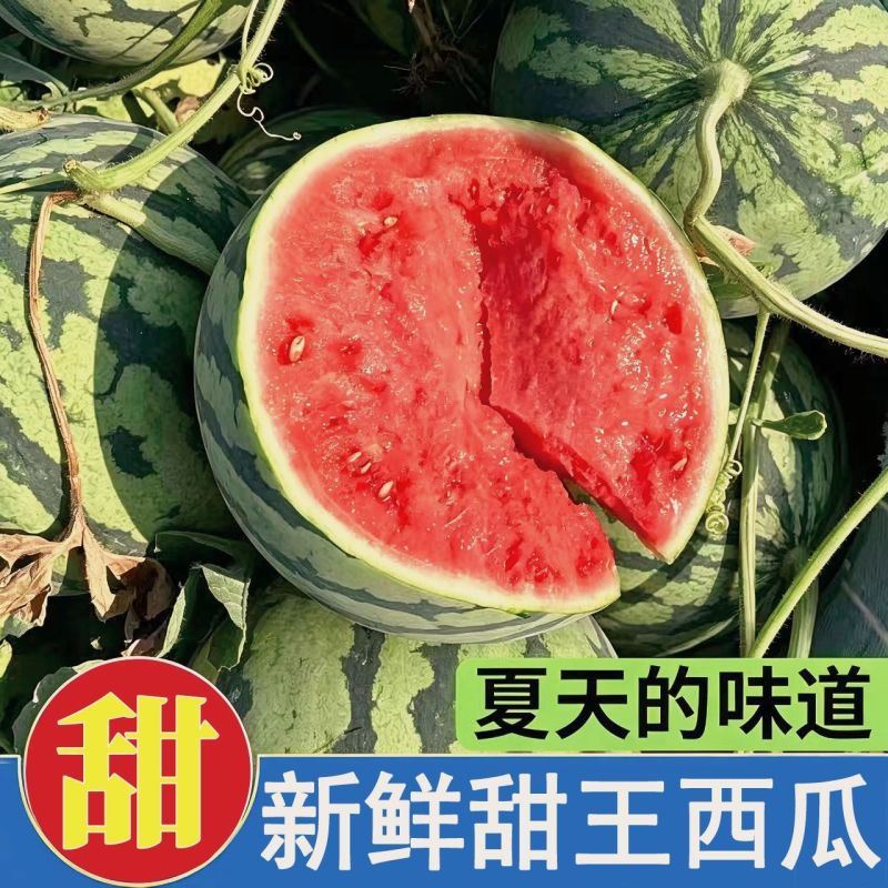 山东甜王西瓜，产地一手货源，水分足，甜度高，欢迎合作