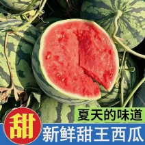 甜王西瓜，产地一手货源，量大优惠对接全国市场电商平台
