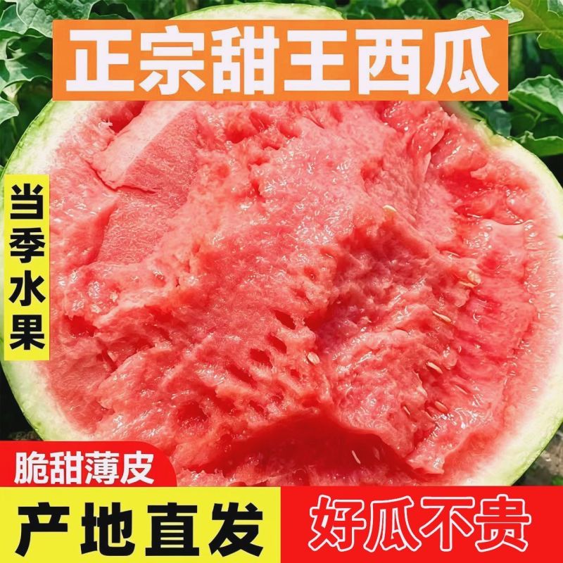 甜王西瓜，产地一手货源，量大优惠对接全国市场电商平台