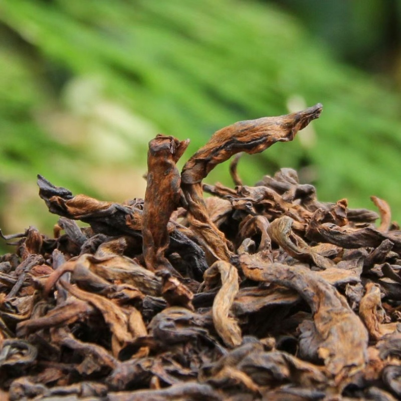 勐海大金芽普洱熟茶，9A级金芽