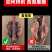 纯正梅花鹿鞭种鹿鞭批发，原毛原蛋保纯