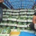 【优选】精品美都西瓜种植基地现摘现发头茬八成熟对接全国