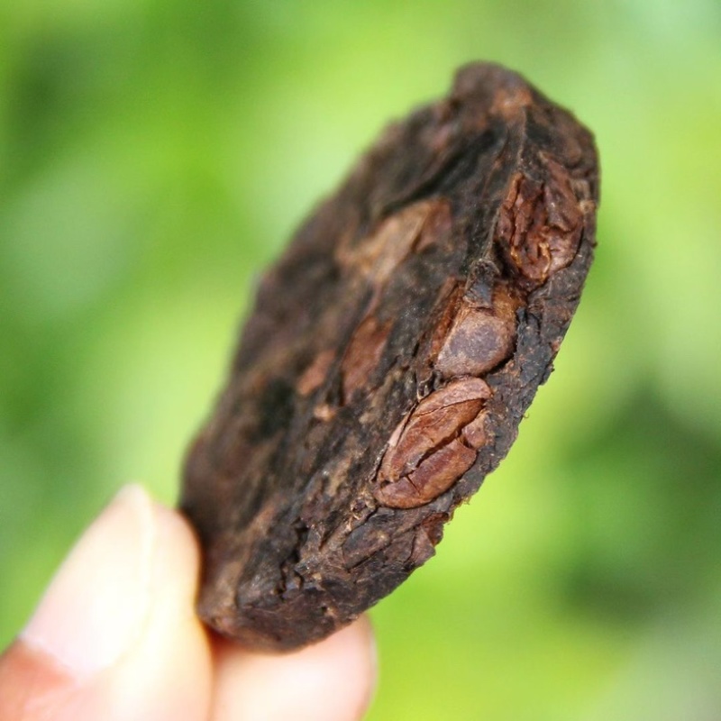 云南咖啡普洱小茶饼