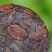 云南咖啡普洱小茶饼