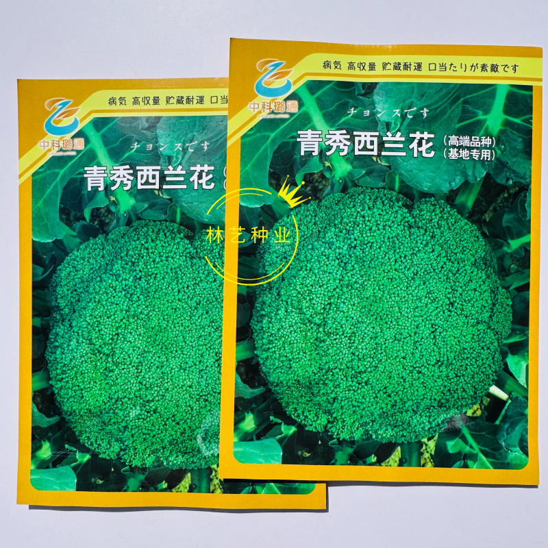 璐通青秀西蓝花种子高品质杂交西兰花种籽新品种春秋两季播种