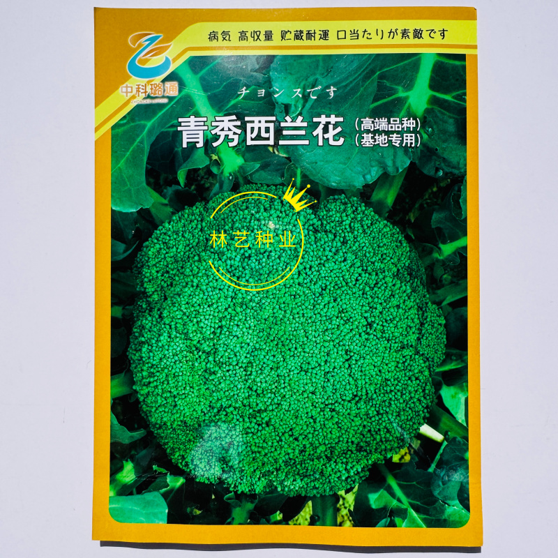 璐通青秀西蓝花种子高品质杂交西兰花种籽新品种春秋两季播种